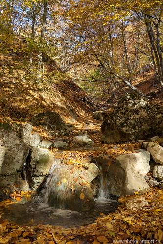Энергия света