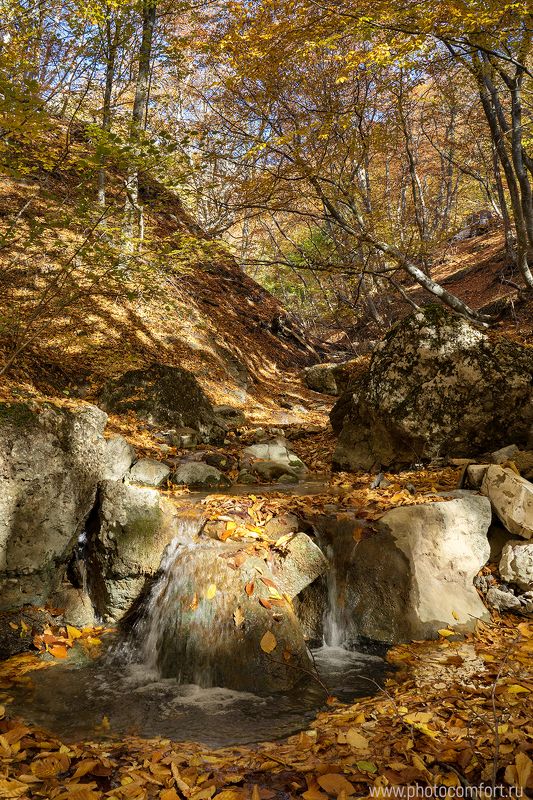 пейзаж, осень, ручей, поток, оранжевый, энергия, ярко, позитив, bright, autumn, red, orange, stream, leaves Энергия света фото превью