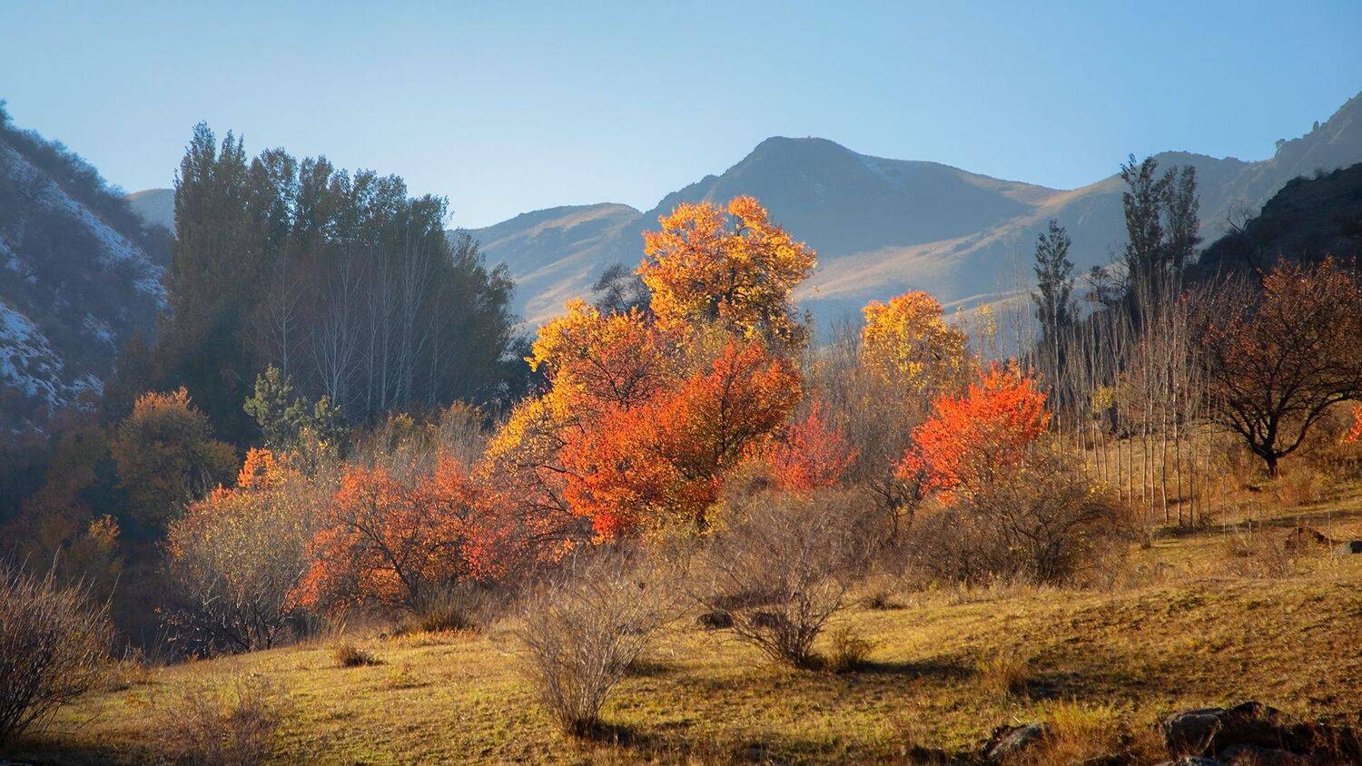 кыргызстан, горы, Элина Магалимова
