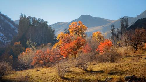 Краски осени