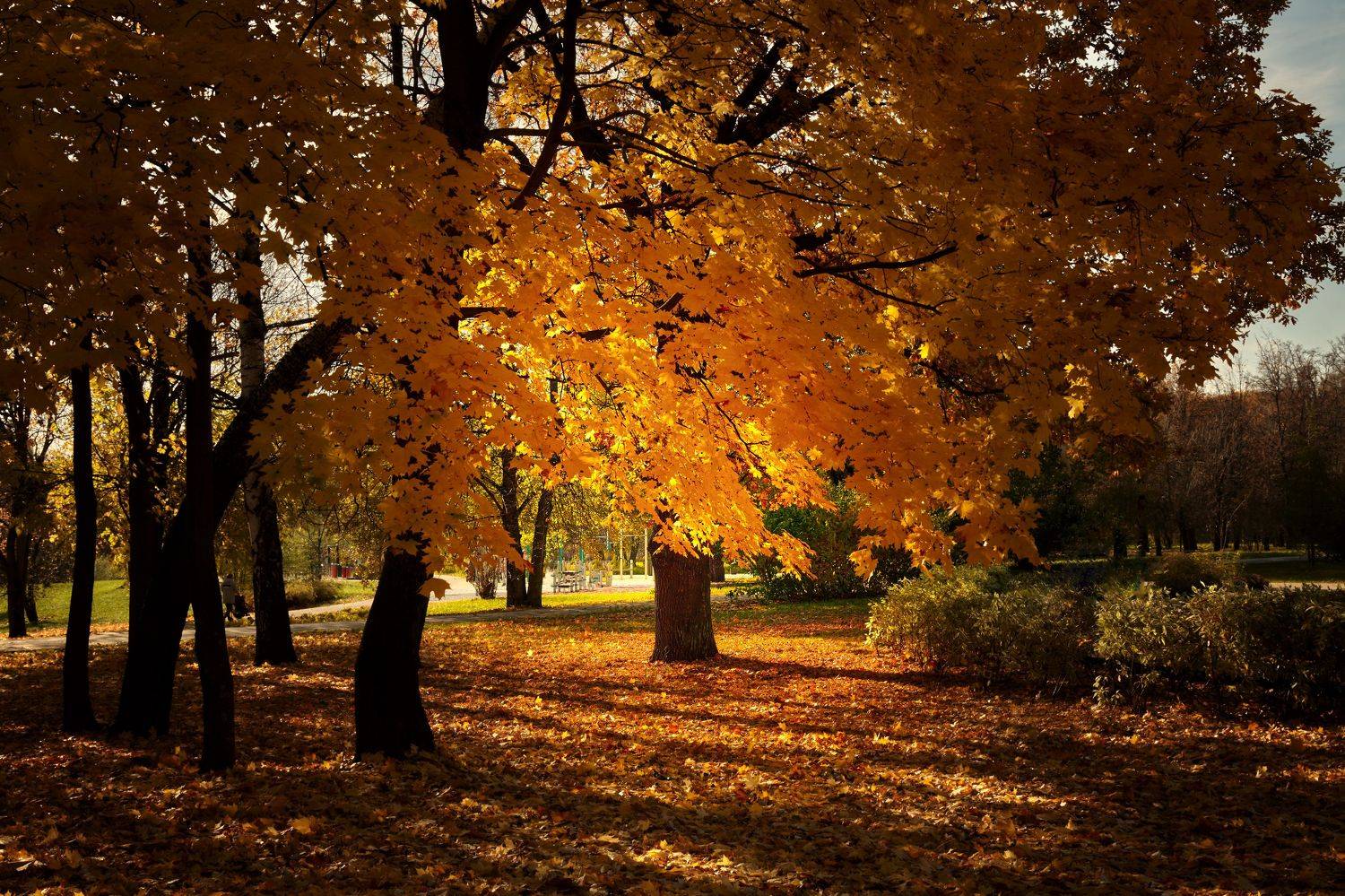 , Булатов Дмитрий