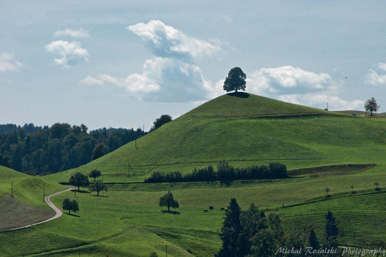mountains, ,landscape, ,hills, ,valley, ,summer, ,sky, ,clouds, ,swiss, ,holidays, ,tree, ,, Michal Rozalski