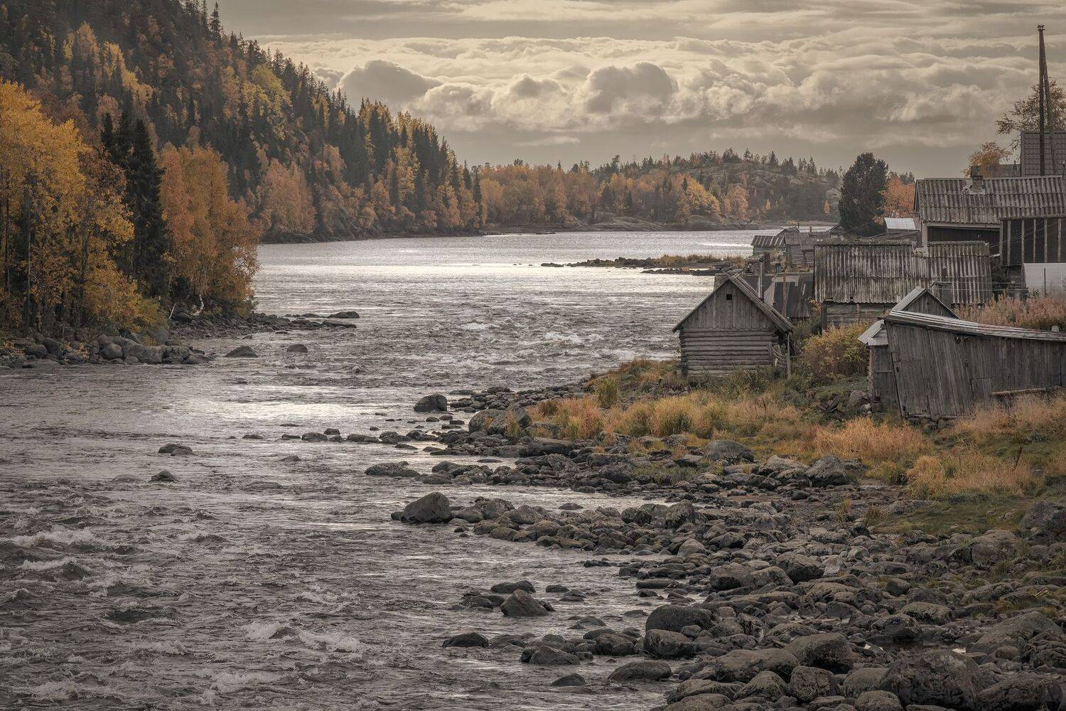река, осень, село, сентябрь, желтый, умба, заполярье, кола, пейзаж, природа, путешествие, Андрей Чиж