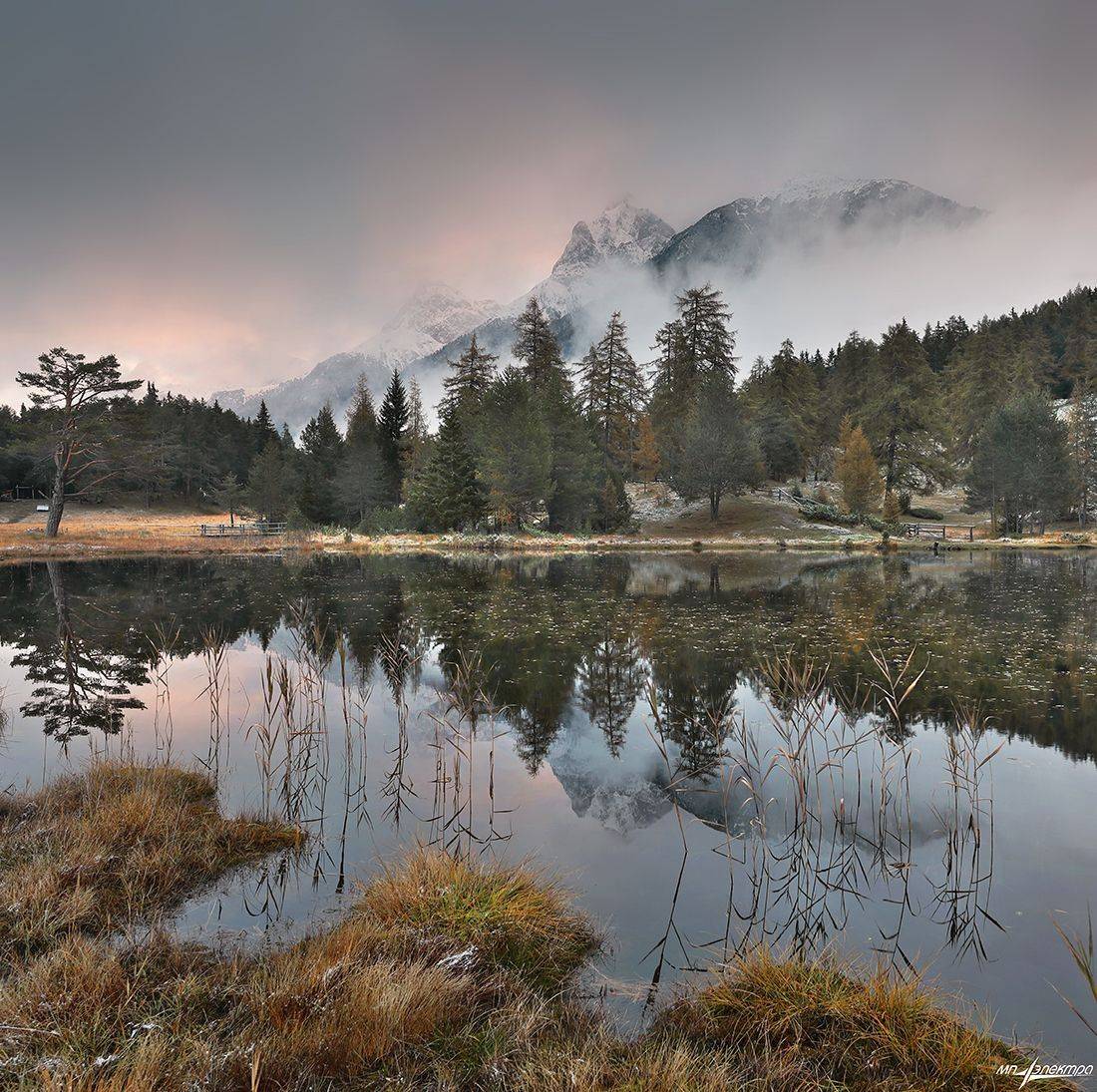 swiss, Матвеев Николай