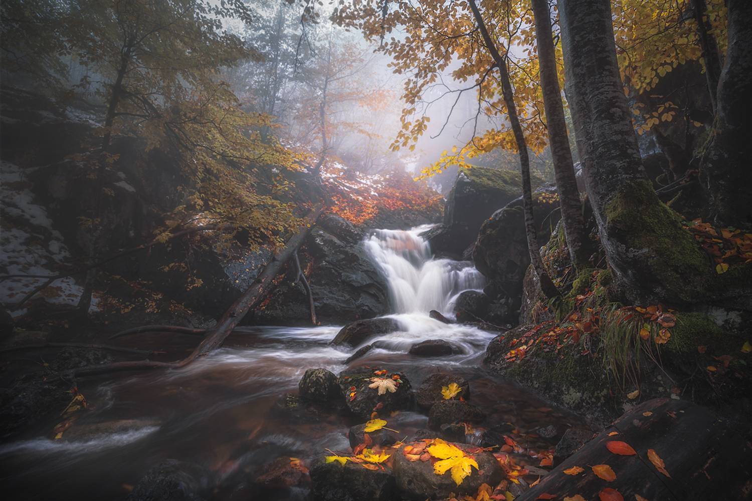 landscape, nature, scenery, forest, wood, autumn, mist, misty, fog, foggy, river, waterfall, colors, leaves, mountain, vitosha, bulgaria, лес, Александър Александров