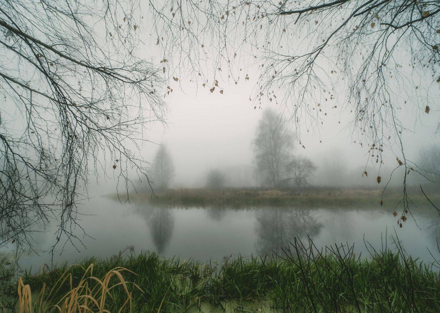 , Константин Дэм