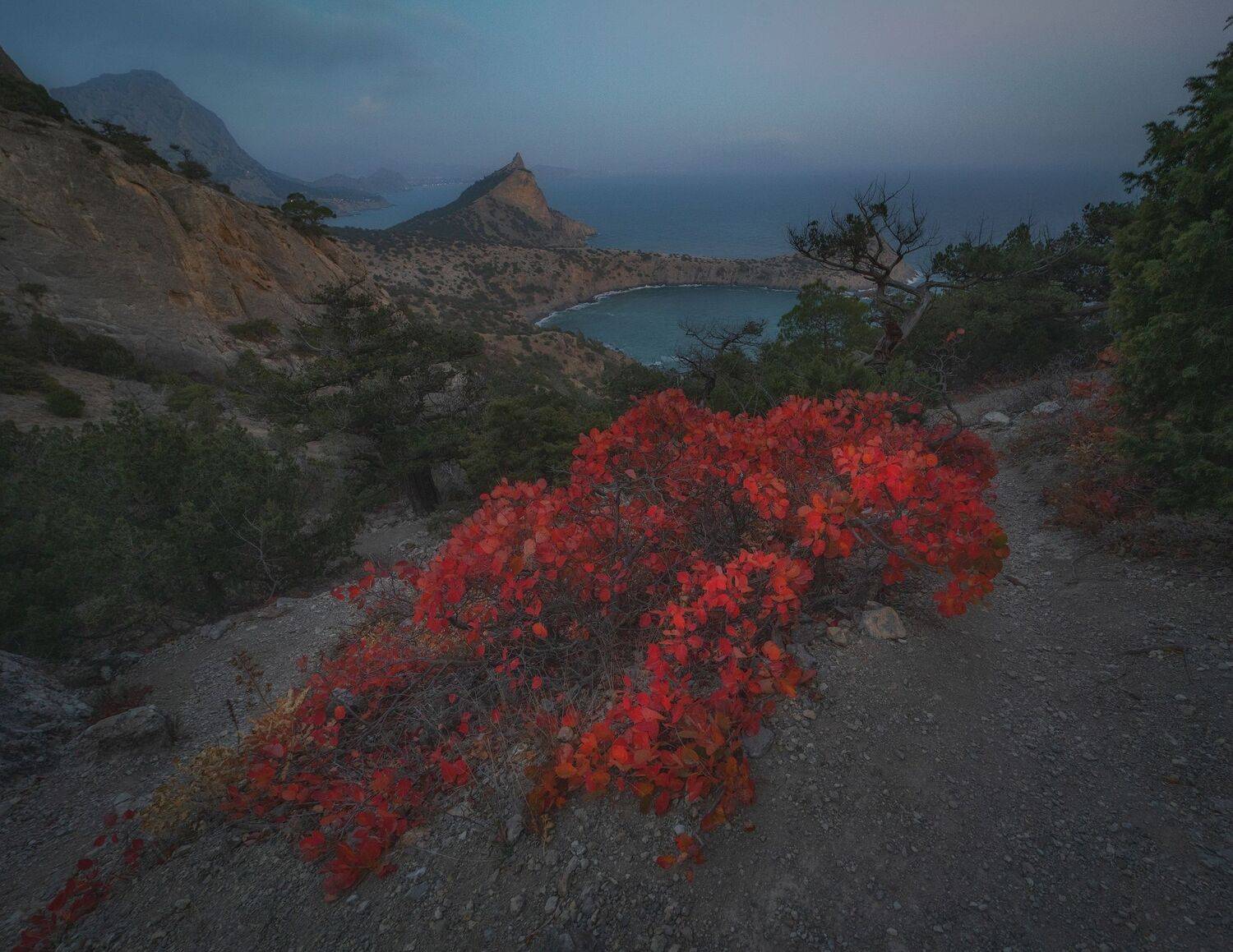 , Константин Дэм