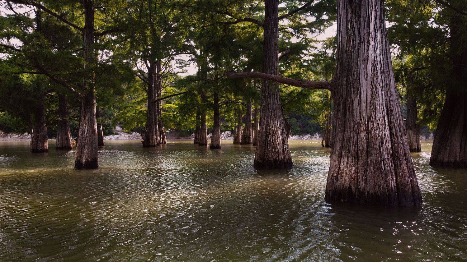 , Роман Грушевский