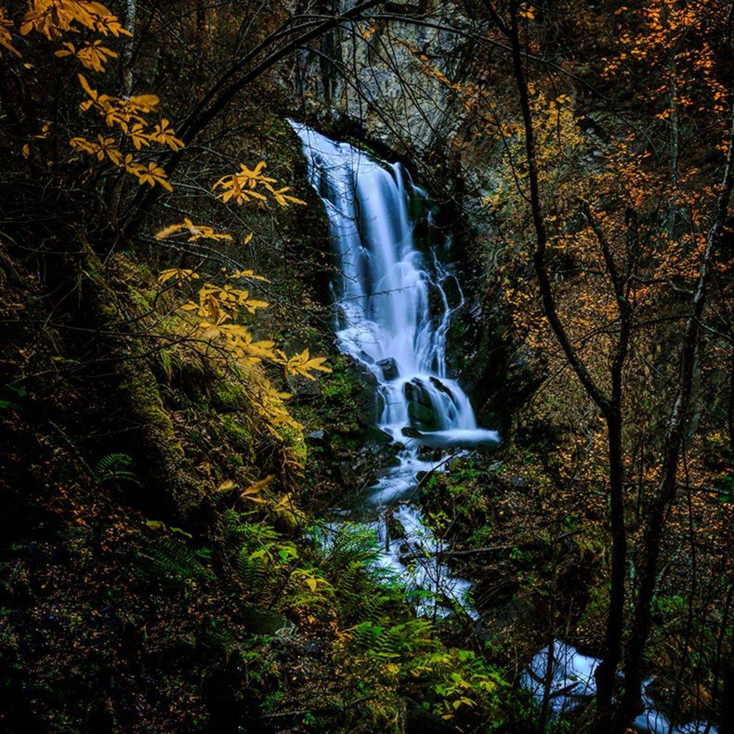 , Игорь Антипов