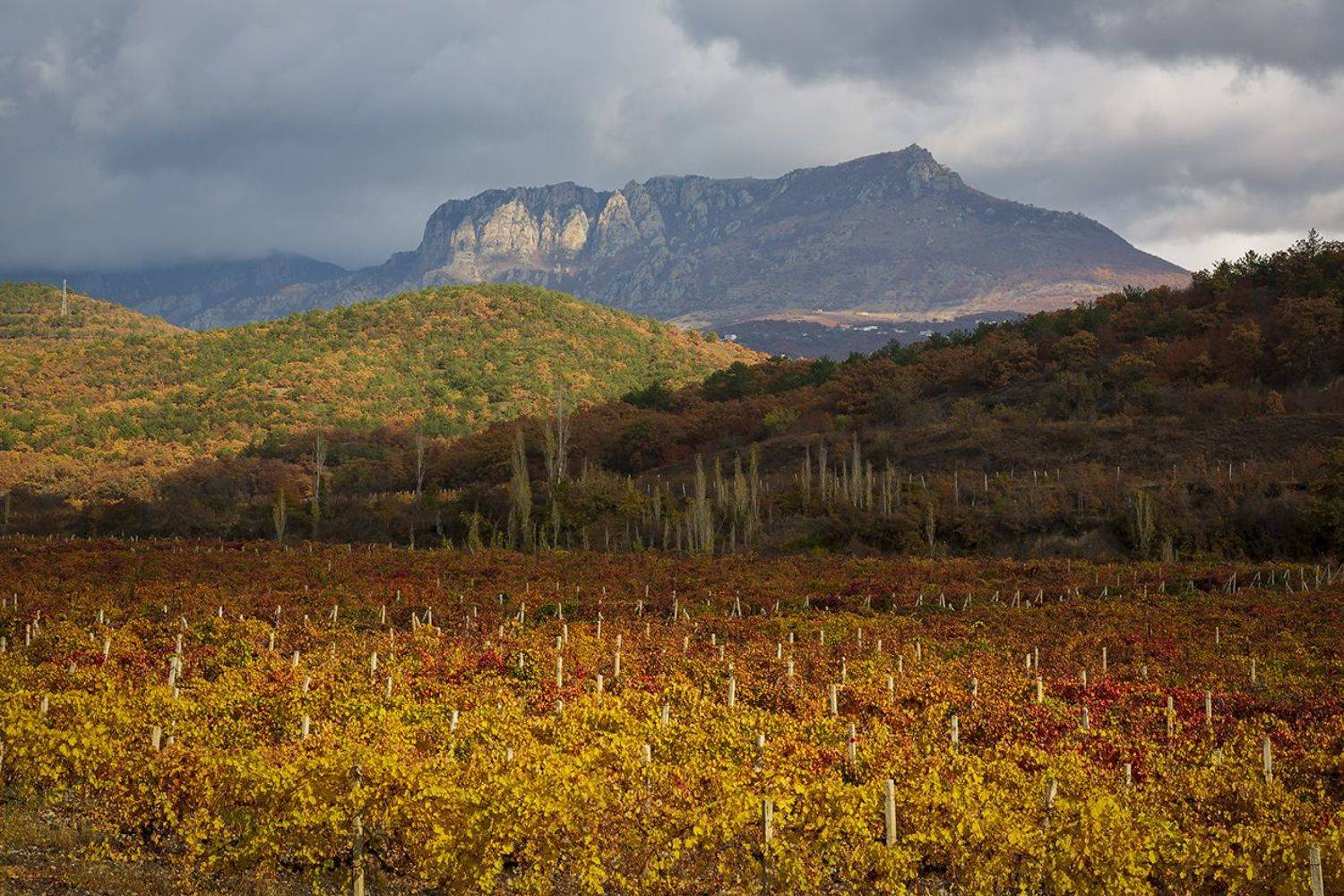 крым, пейзаж, алушта, осень, цвет, горы, демирджи, облака,, Сергей Шульга