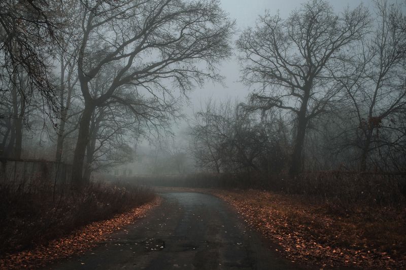 Холодный туман фото превью