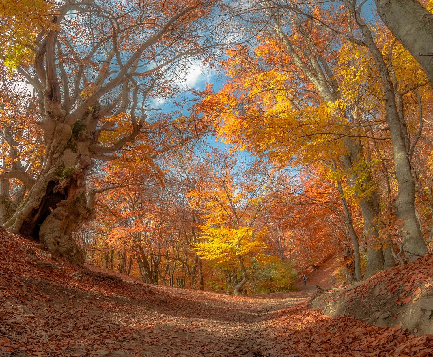 , Игорь Прошаков