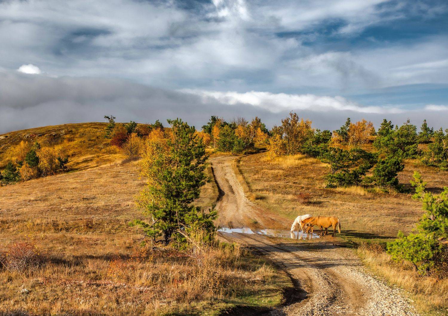 , Игорь Прошаков