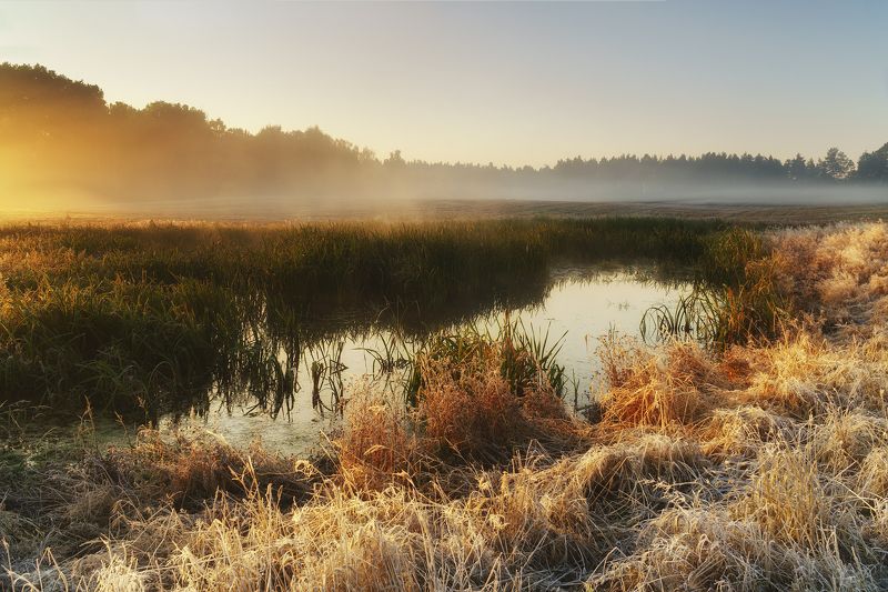 october, morning, October фото превью