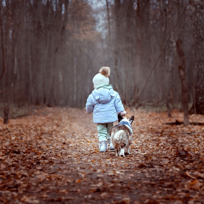 Прогулка окончена фото превью