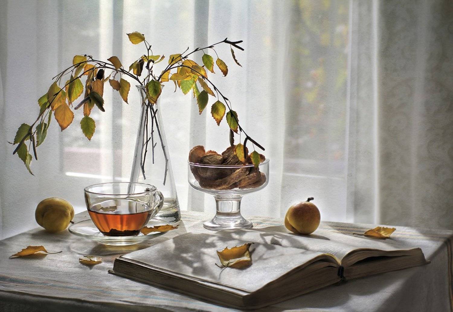 , Светлана Павловская