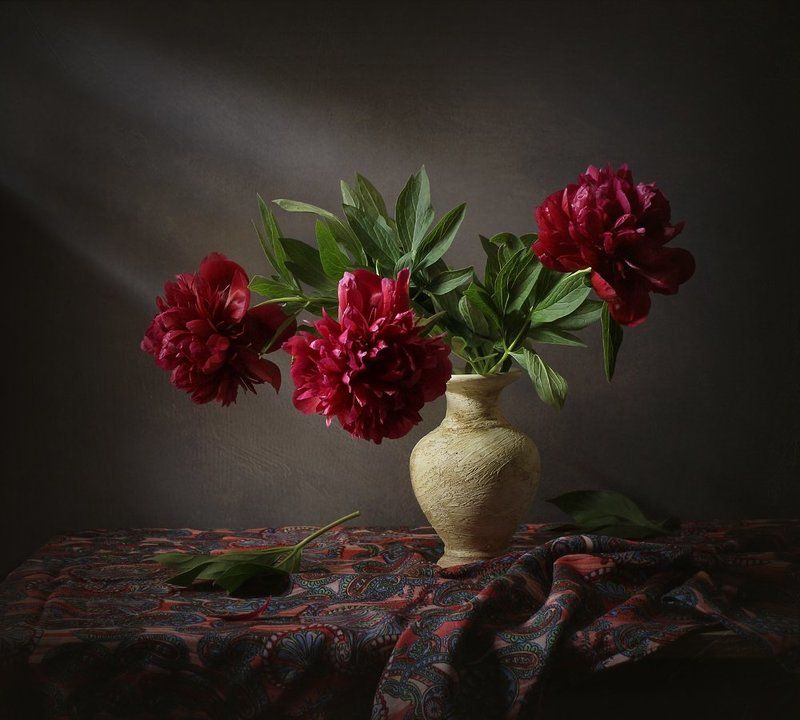 ***** фото превью