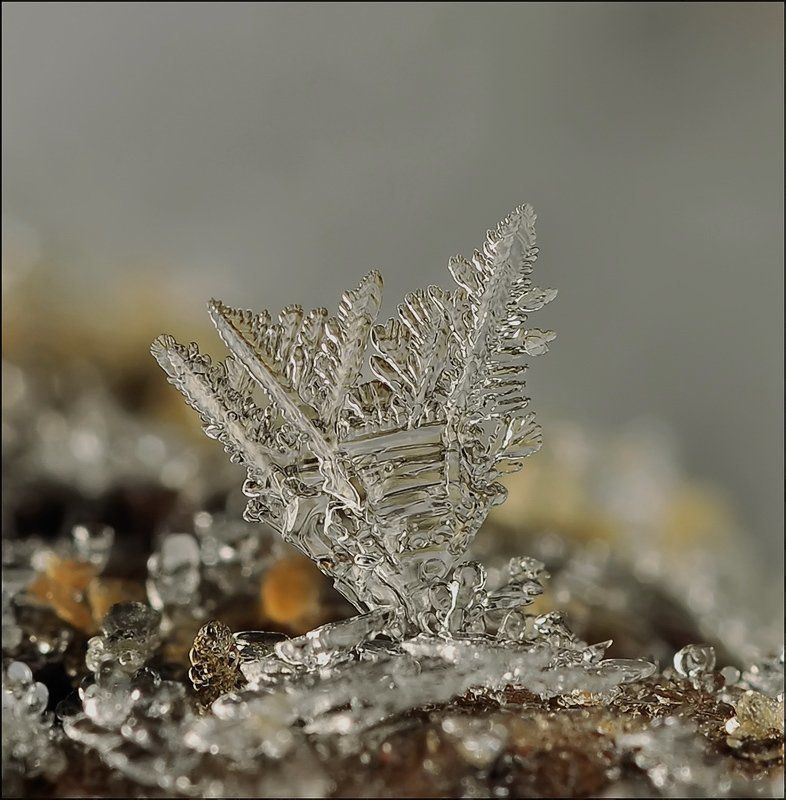 Слёзы моря... фото превью