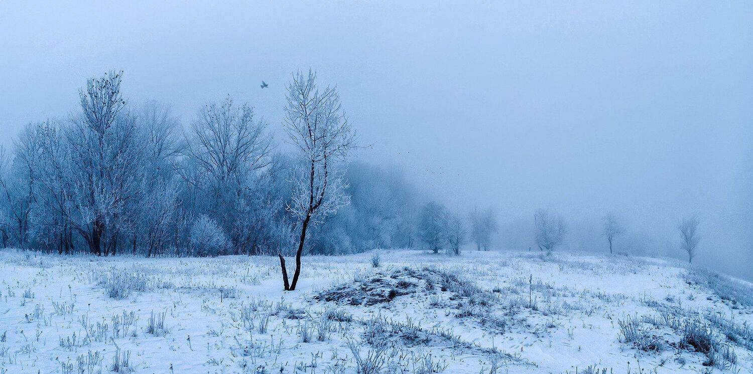 , Игорь Мелекесцев