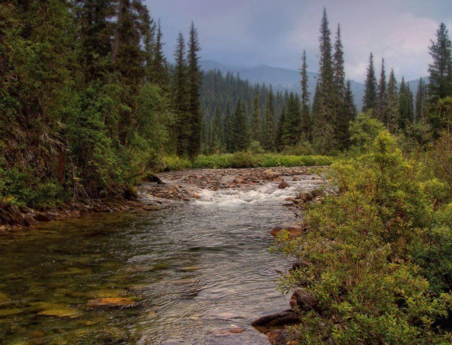 саяны, ергаки, дождь, непогода, Галина Хвостенко