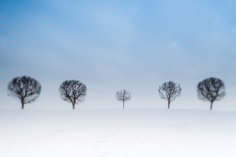 танцы у Марли фото превью