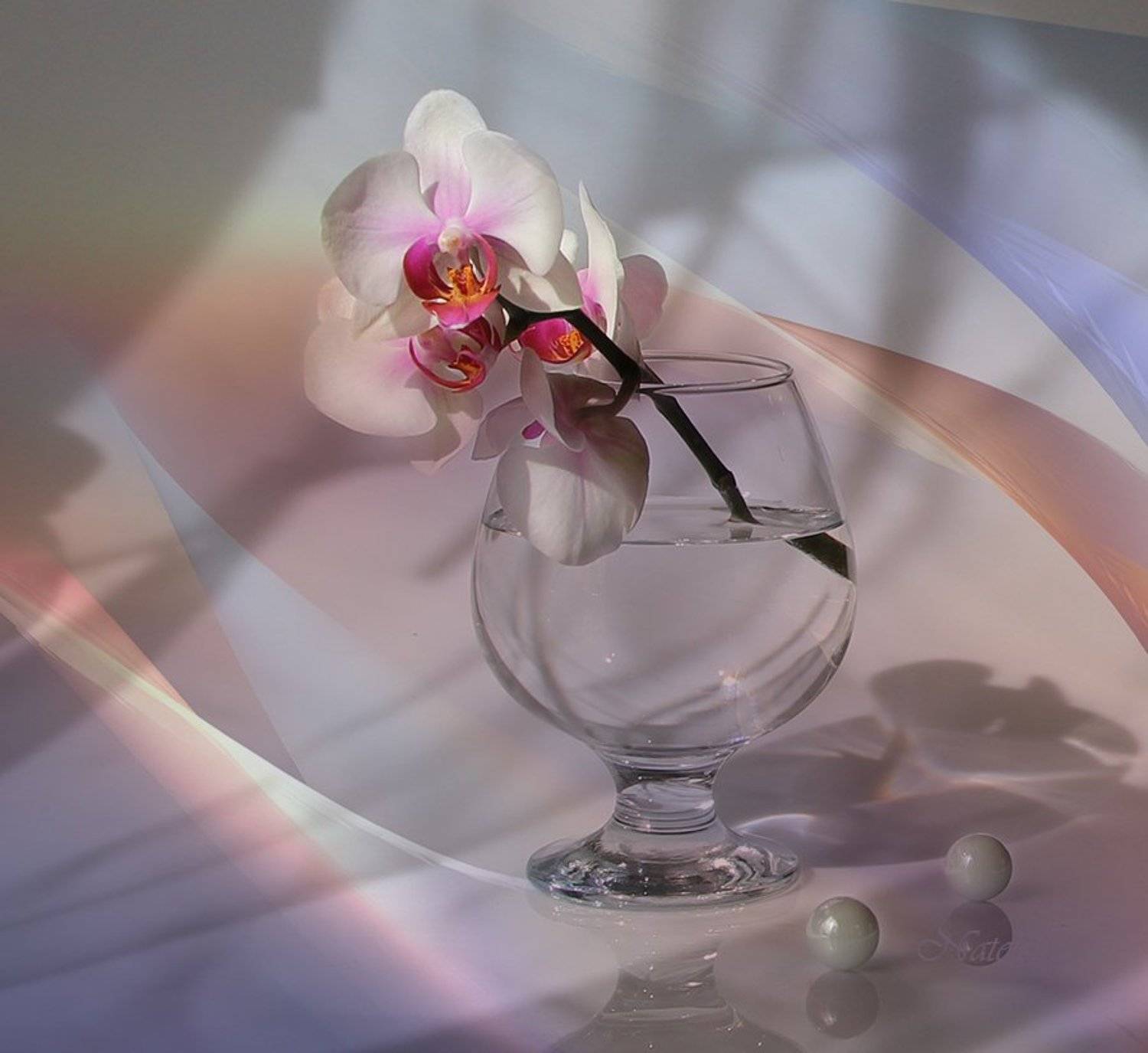 , Наталья Кузнецова (Nateletro)