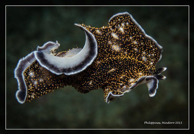 Полет фото превью