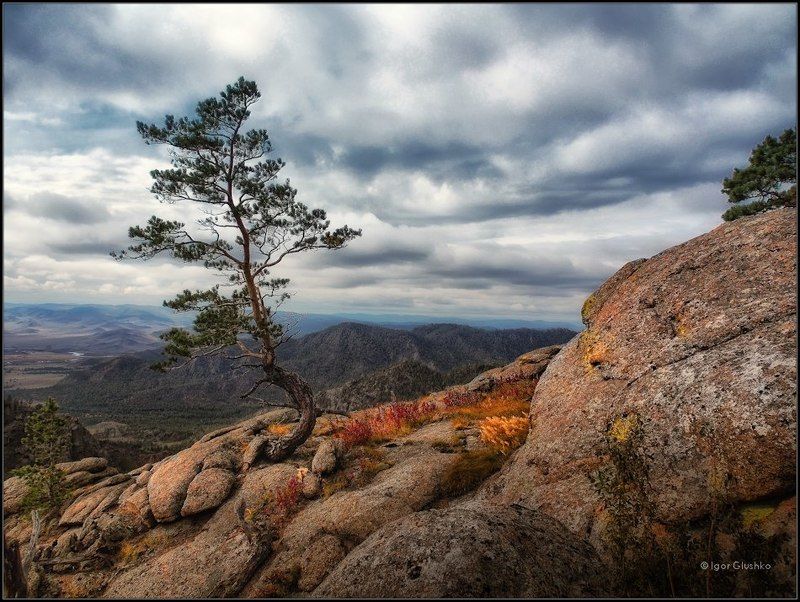На своем месте фото превью