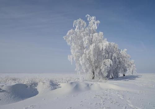 Белые одежды 2