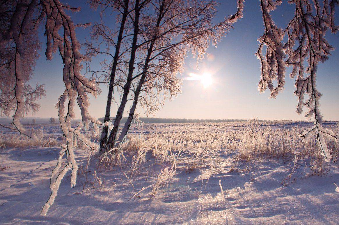 , Николай Морский