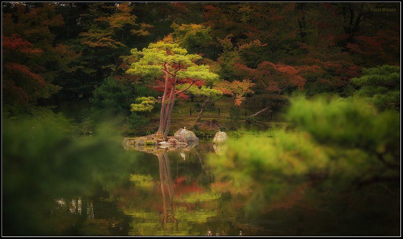 В японском саду фото превью