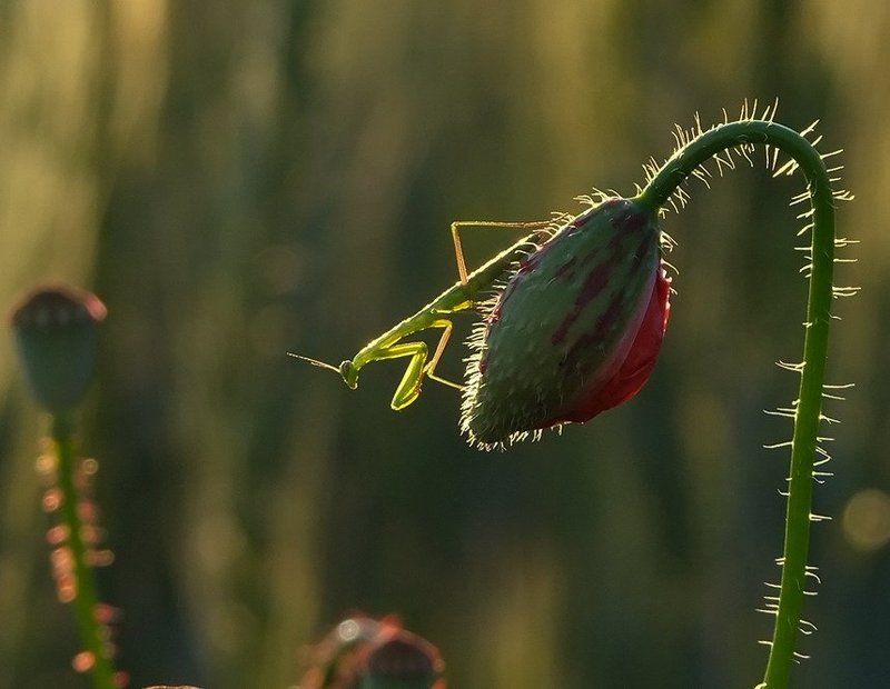 На краю. фото превью
