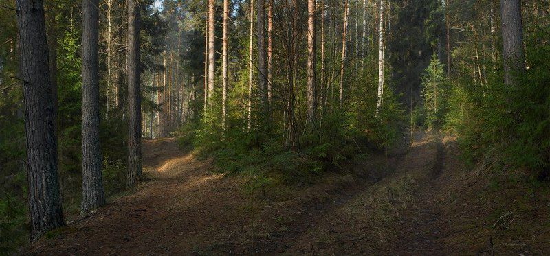 Утро фото превью