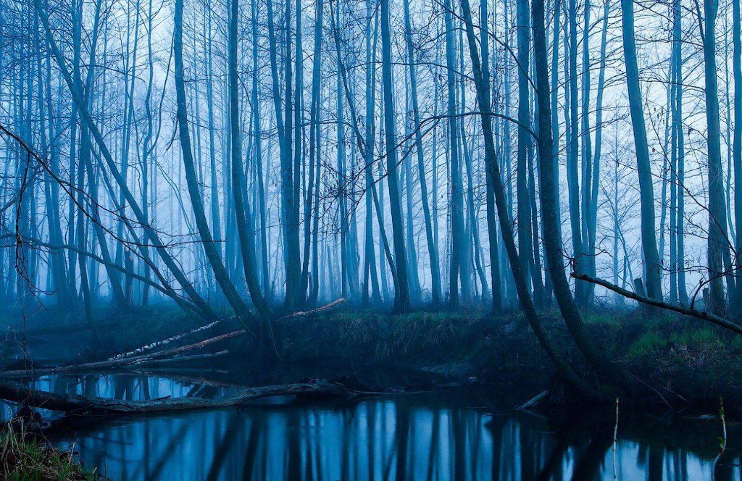 , Игорь Подгорный