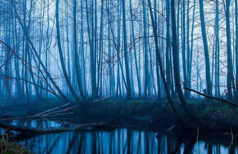 Синий туман фото превью