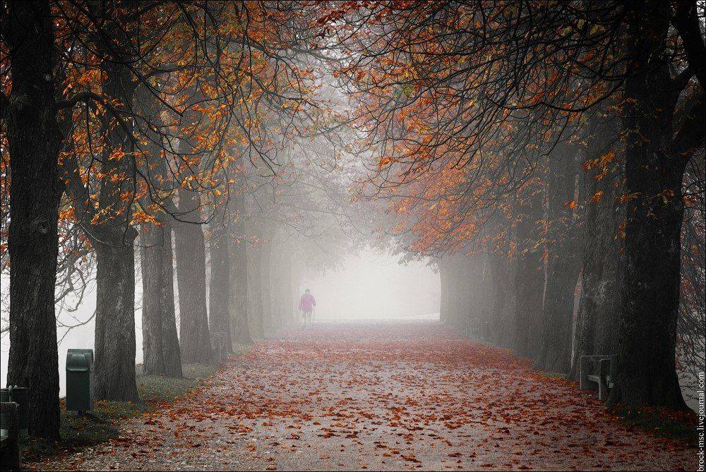 , Георгий Ланчевский