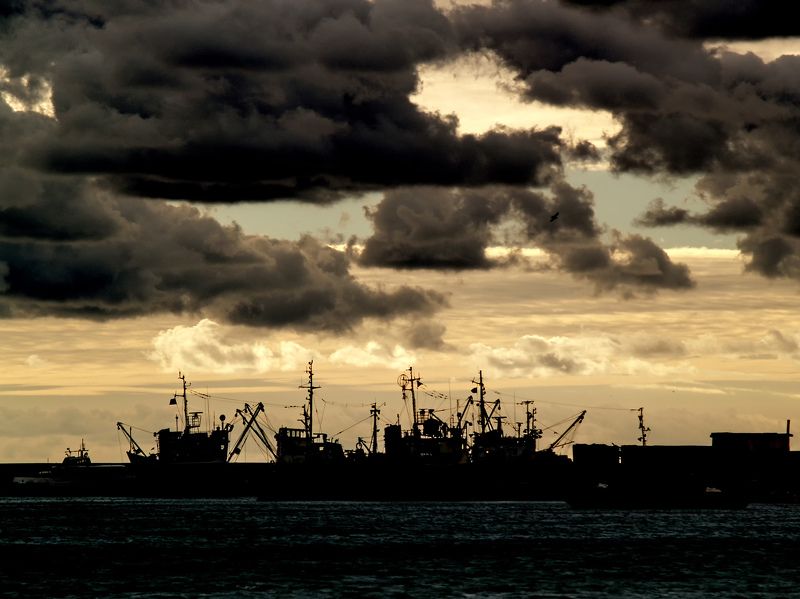 На приколе фото превью