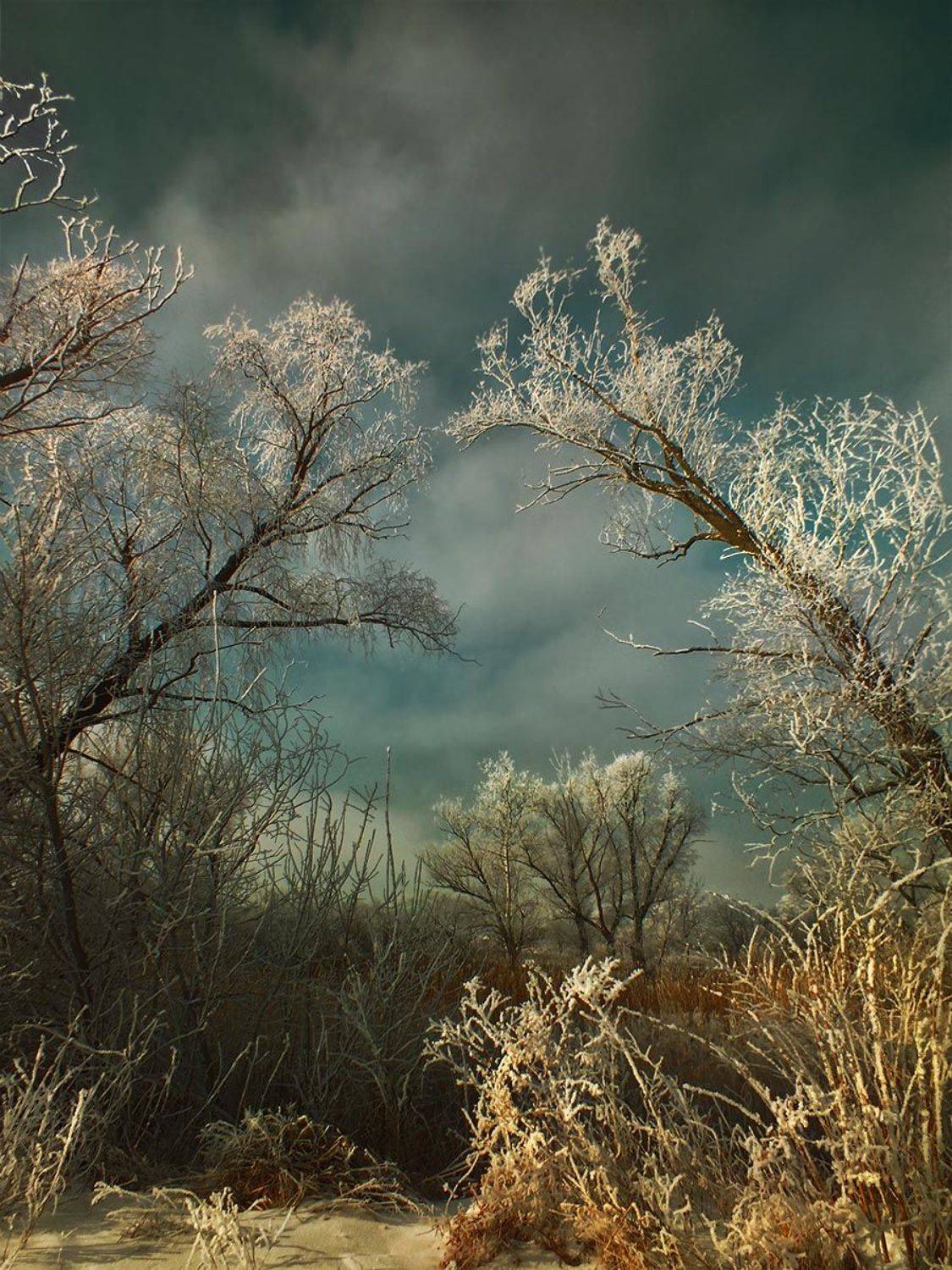 , Радковская Наталья