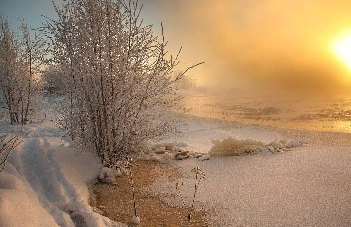 , Александр Коротков