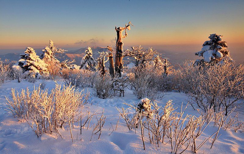 Dawn of Taebaeck Mountain фото превью