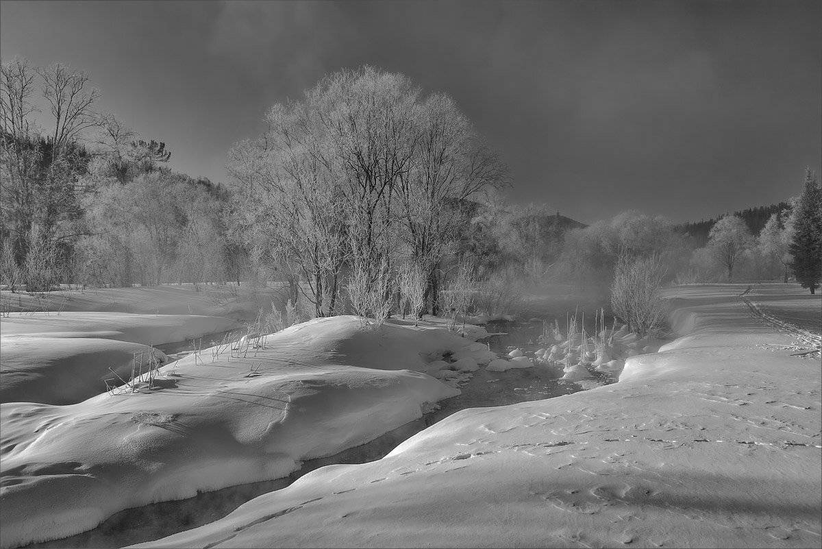 , Александр Гусаков