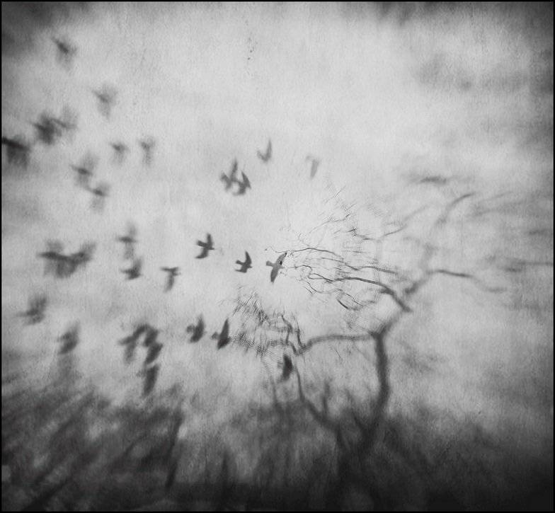 , Krzysztof Trojanowski