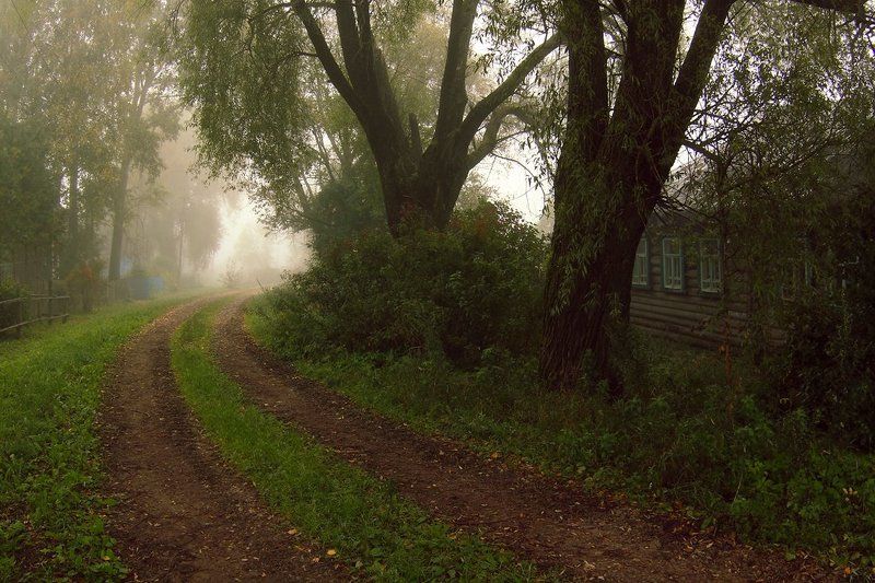 Что ты, осень, прячешь за туманом...... фото превью