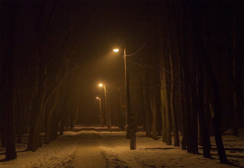 Дорожка, Зима, Ночь, Тропинка, Туман, Фонари дорожка фото превью