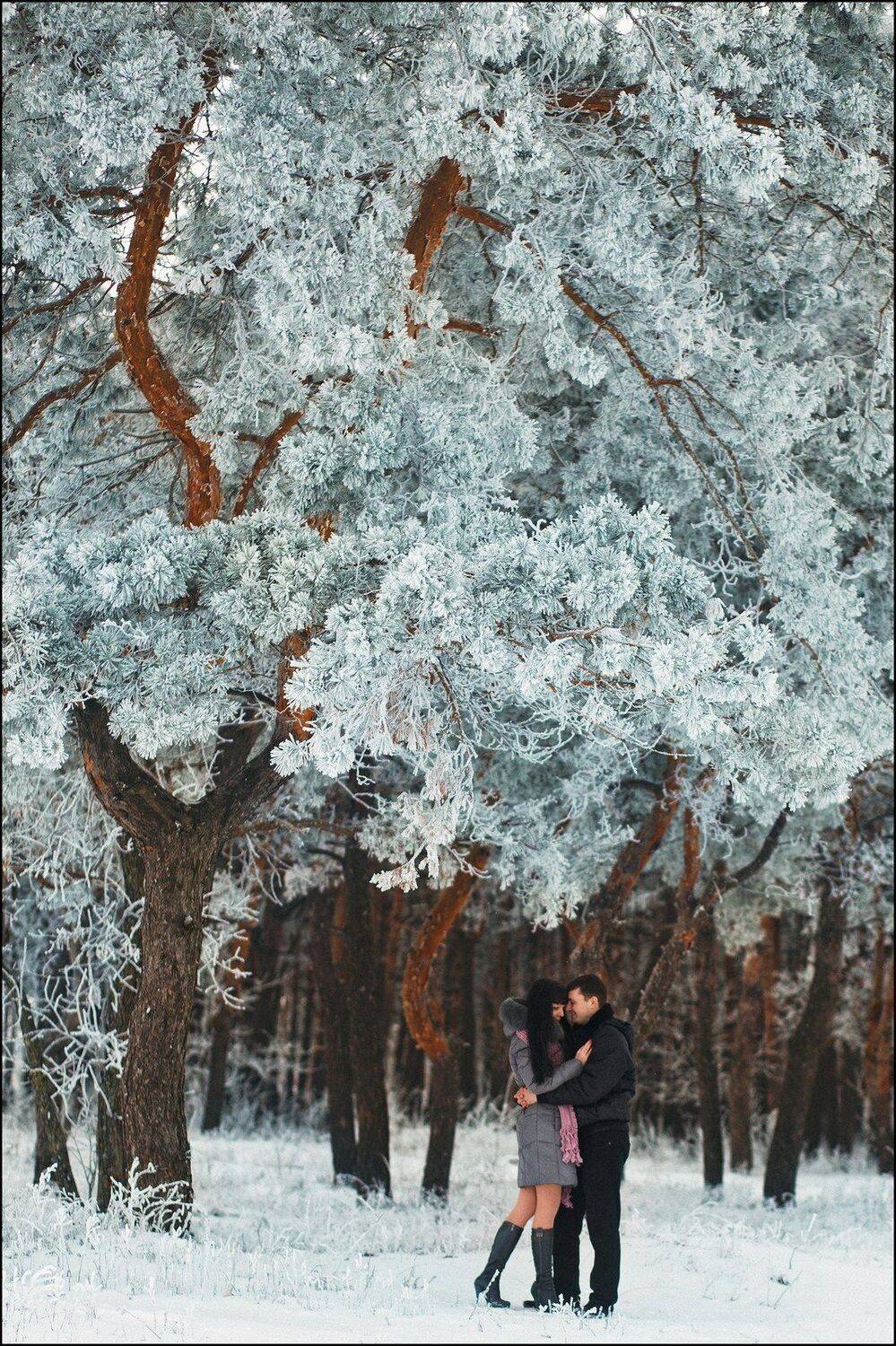 , Алексей Гуляев