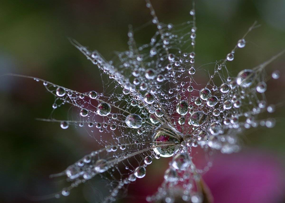 , Таня  Маркова