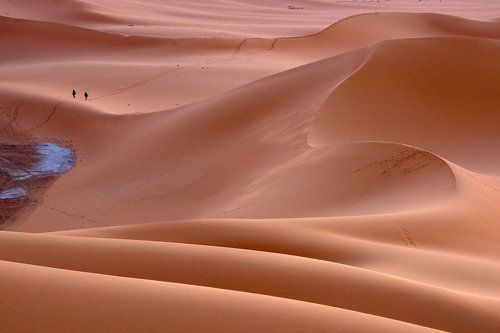 И охотник вернулся с холмов