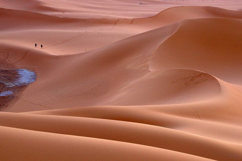 И охотник вернулся с холмов фото превью