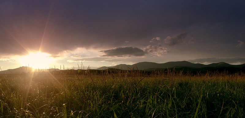 В заказнике фото превью