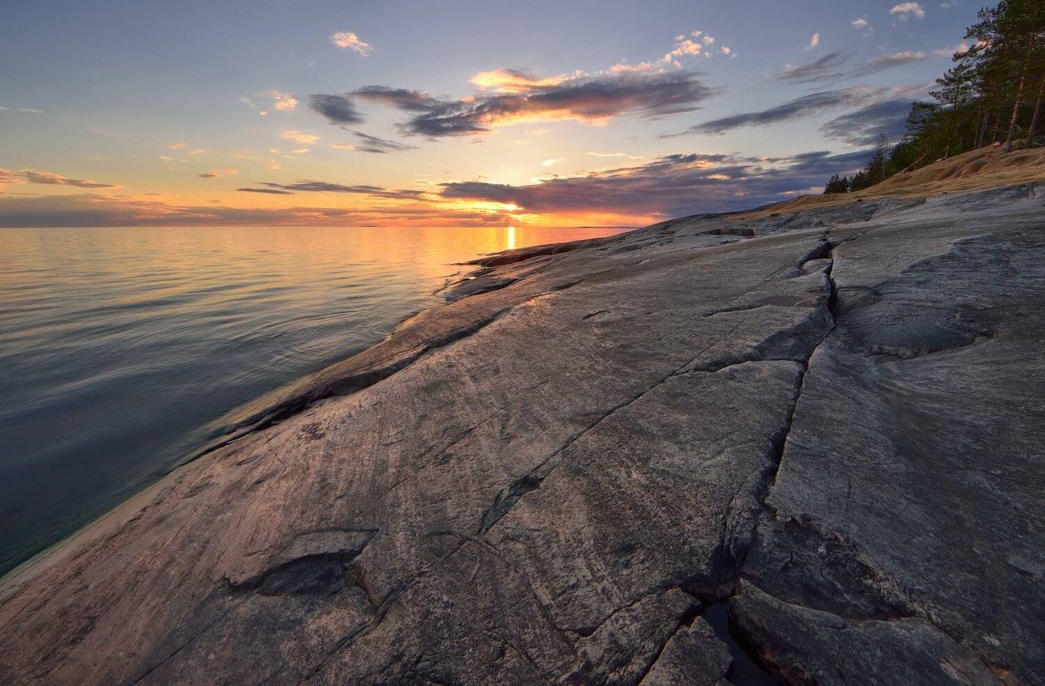 , Максим Евдокимов